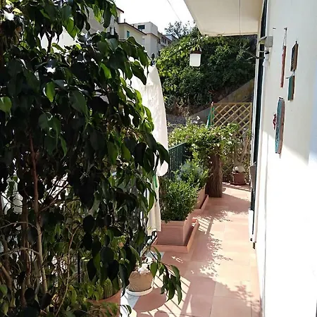 Fronte Al Porto * Salerno